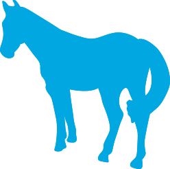 icon pferd2x