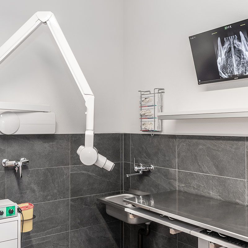 Tierarzt Siebnen Dentalröntgen Tierarzt Siebnen Dentalröntgen