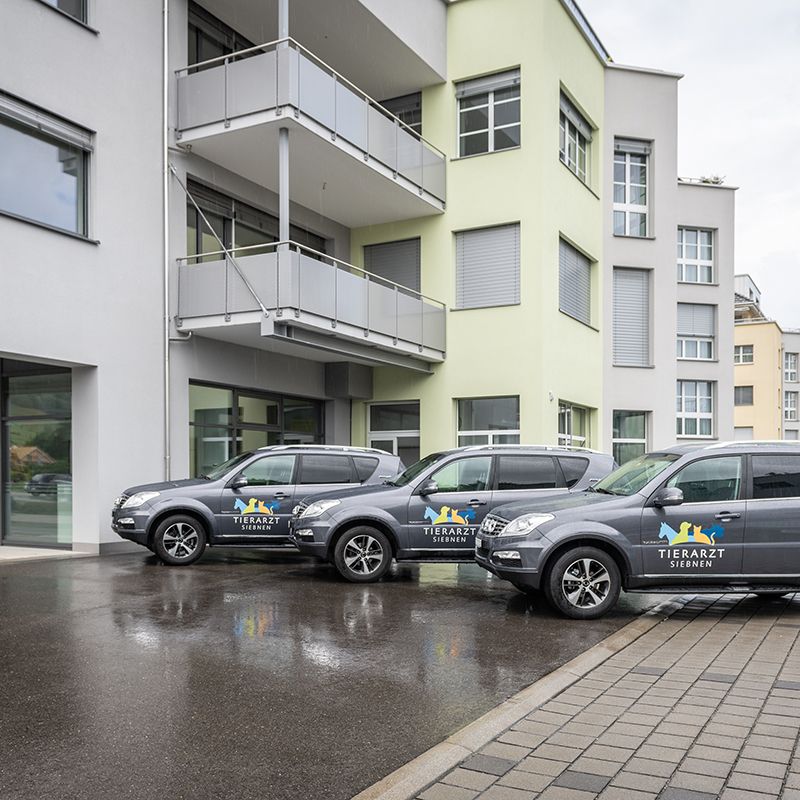 Tierarzt Siebnen Praxisfahrzeuge Tierarzt Siebnen Praxisfahrzeuge