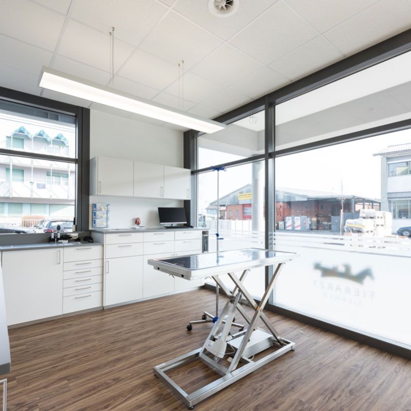 Tierarzt Siebnen Konsultation Tierarzt Siebnen Konsultation