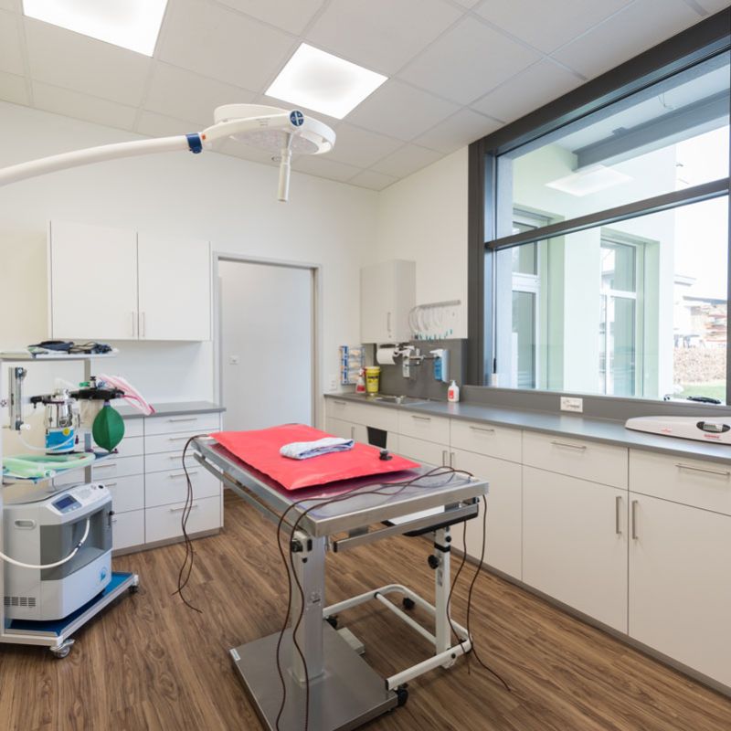 Tierarzt Siebnen Operationsraum Tierarzt Siebnen Operationsraum