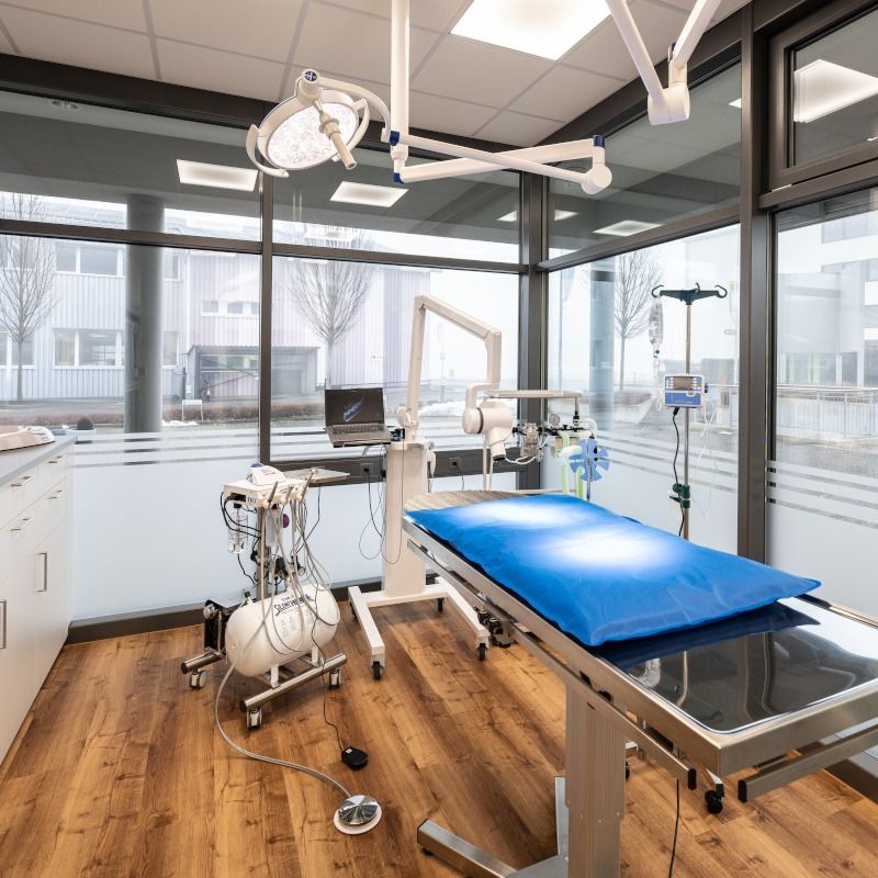 Zahnbehandlung / Operationsraum für kleine Nutztiere Zahnbehandlung / Operationsraum für kleine Nutztiere