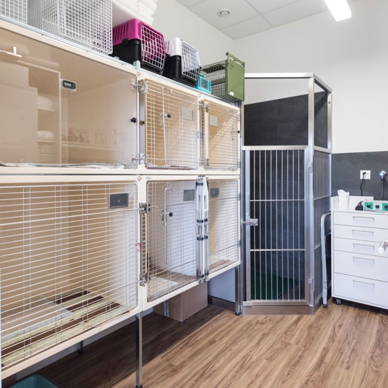 Tierarzt Siebnen Station Tierarzt Siebnen Station